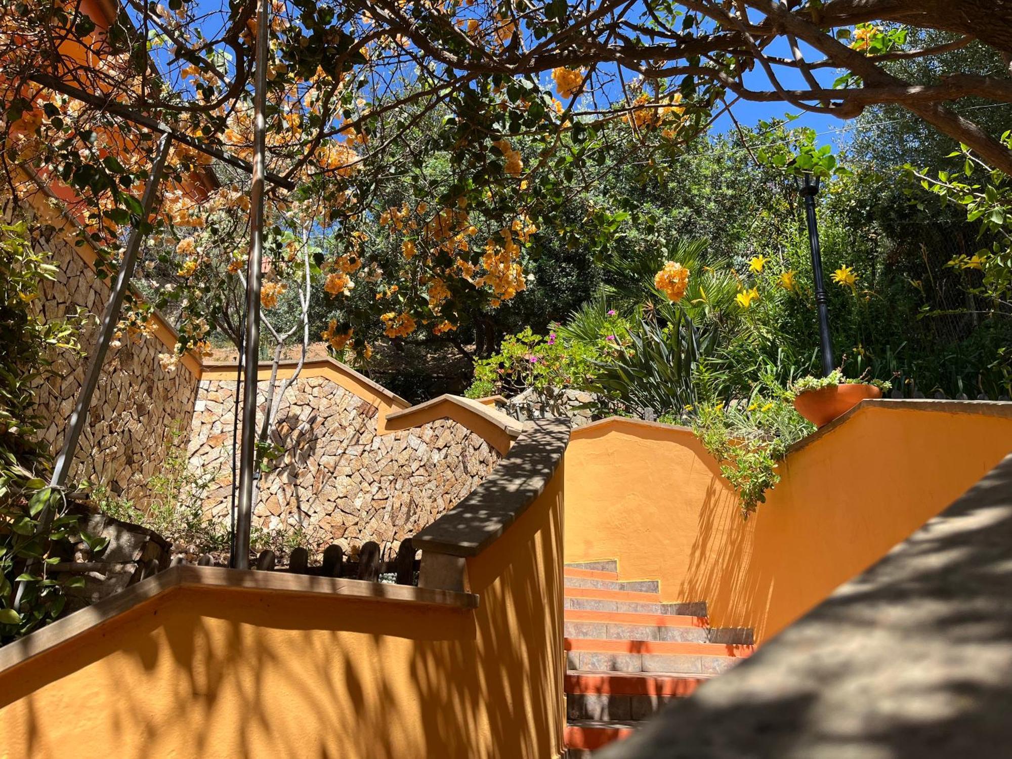Villa Con Giardino Vista Mare Capitana Bagian luar foto